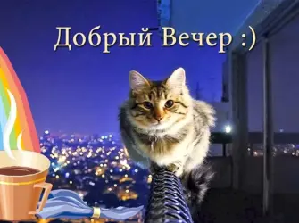 Открытки добрый вечер. Прикольная открытка