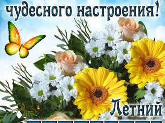Открытки летнего настроения. Открытка с пожеланием