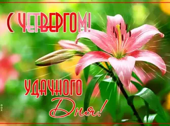 Открытки отличного четверга открытка