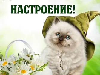 Открытки отличного настроения открытка