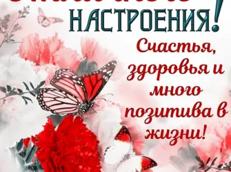 Открытки отличного настроения открытка