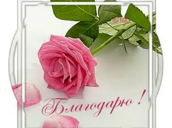 Открытки с благодарностью открытка