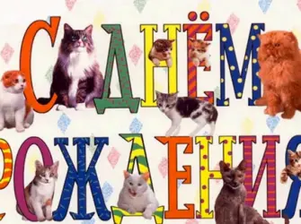 Открытки с днём рождения с животными. Открытка с поздравлением