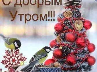 Открытки с добрым декабрьским утром открытка