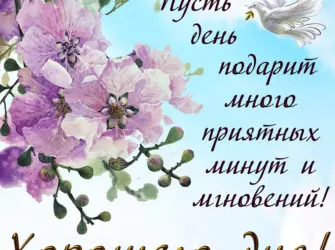 Открытки с добрым днём. Открытка с пожеланием