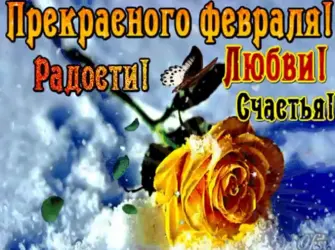 Открытки с добрым февральским днем. Открытка с пожеланием
