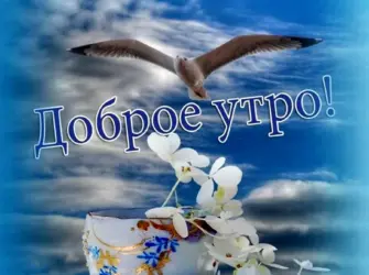 Открытки с добрым мирным утром. Открытка с пожеланием