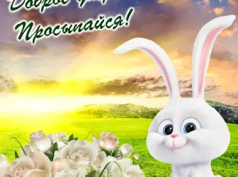 Открытки с добрым утром. Открытка с пожеланием