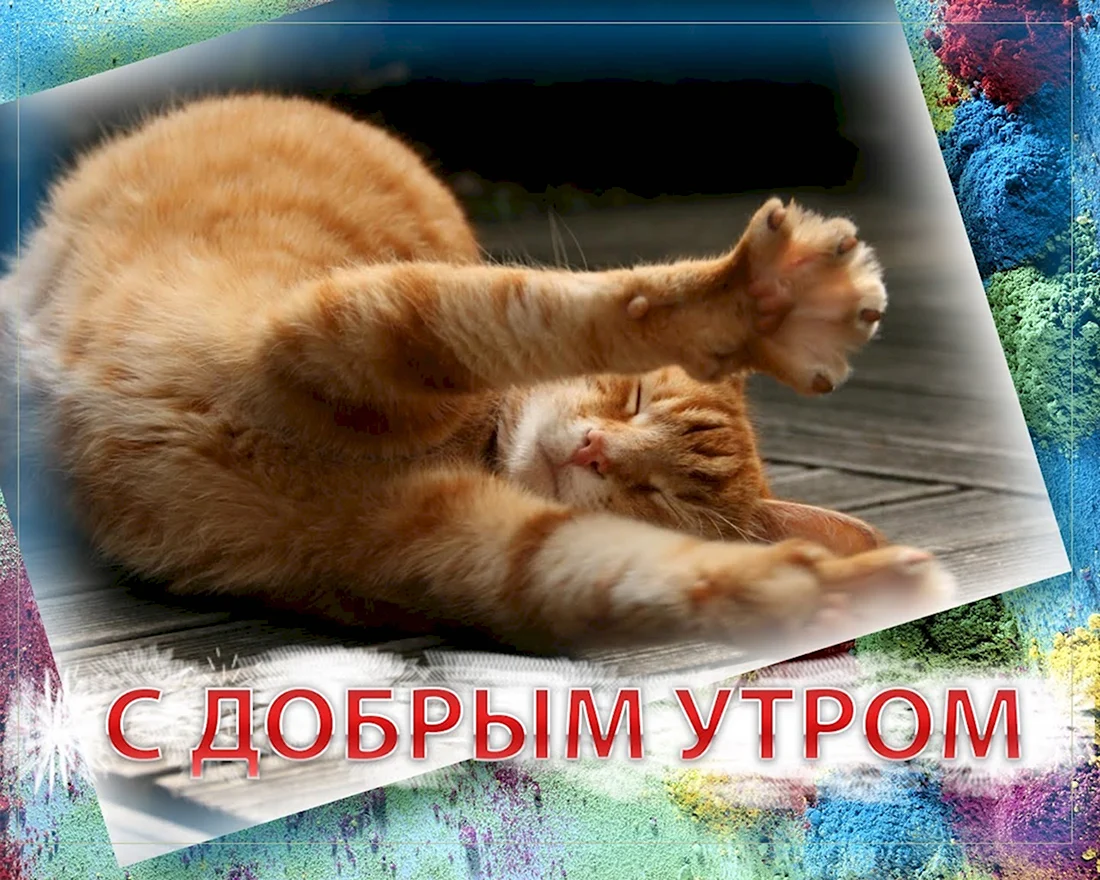 Открытки с добрым утром. Открытка с поздравлением