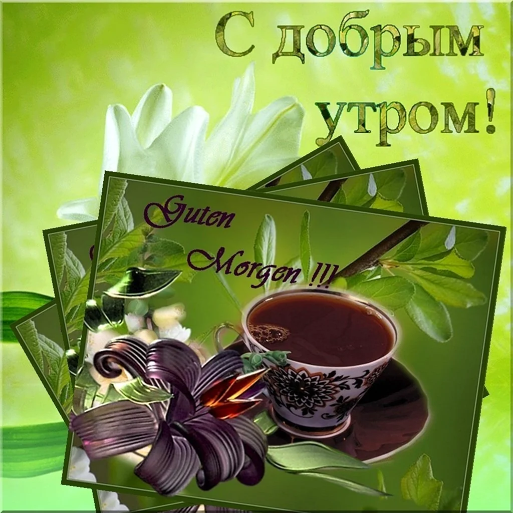 Открытки с добрым утром. Открытка с поздравлением