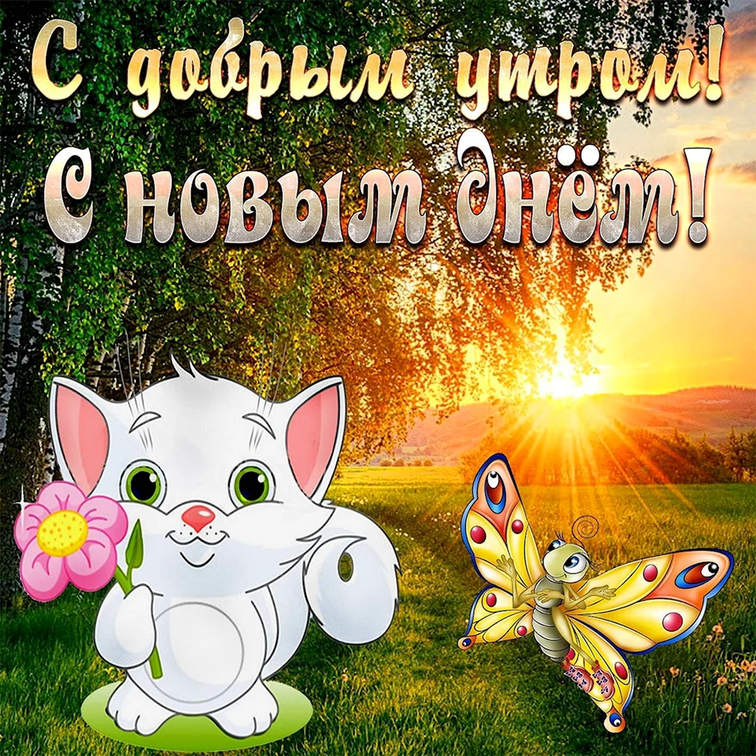 Открытки с добрым утром красивые. Открытка с поздравлением