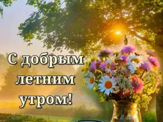 Открытки с добрым утром летние. Открытка с пожеланием