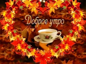 Открытки с добрым утром осенние. Прикольная открытка