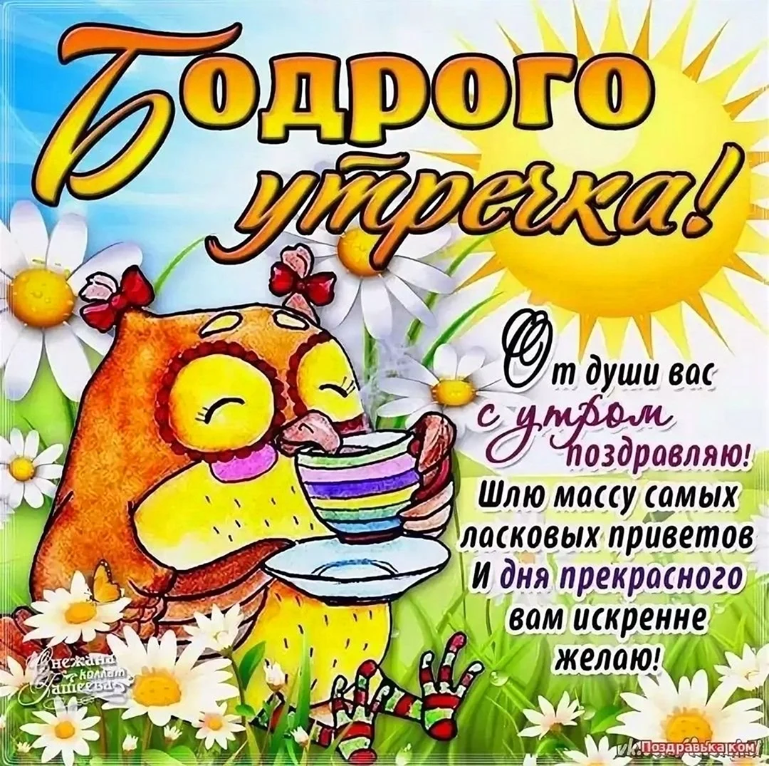 Открытки с добрым утром прикольные. Поздравление на праздник