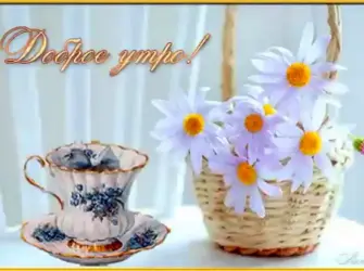Открытки с добрым утром с ромашками открытка