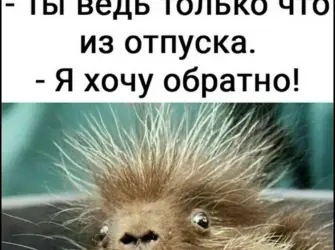 Открытки с первым рабочим днем после отпуска для женщин. Прикольная открытка