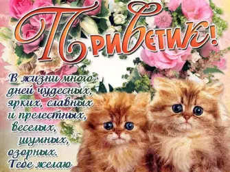 Открытки с пожеланиями открытка