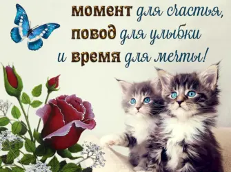 Открытки с пожеланиями. Открытка с пожеланием