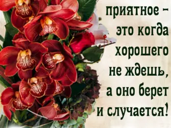 Открытки с пожеланиями. Открытка с пожеланием