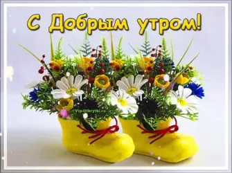Открытки с пожеланиями доброго утра и здоровья. Открытка с пожеланием