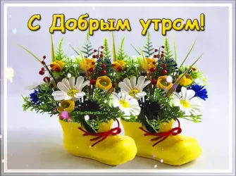 Открытки с пожеланиями доброго утра и здоровья. Открытка с поздравлением