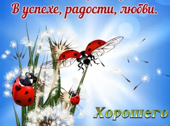 Открытки с пожеланиями хорошего дня. Поздравление на праздник