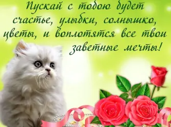Открытки с приветствиями открытка