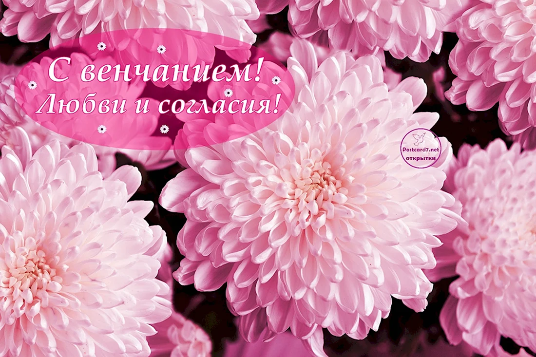 Открытки с венчанием. Открытка с поздравлением