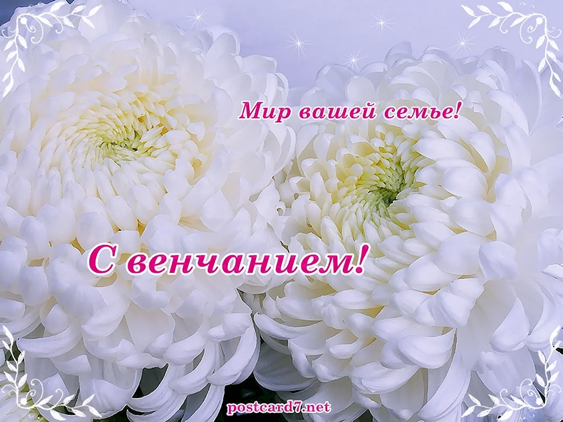 Открытки с венчанием. Открытка с поздравлением