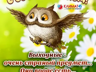 Открытки с воскресеньем прикольные. Открытка с поздравлением