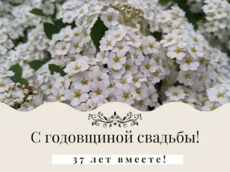 Открытки серебряная свадьба 25 лет вместе. Свадебная открытка