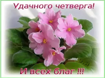Открытки удачного четверга. Открытка с пожеланием