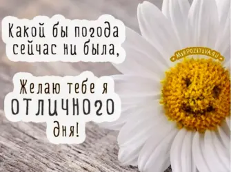 Отличного дня. Открытка с пожеланием