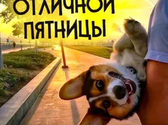 Отличной пятницы открытка