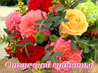 Отличной субботы открытка