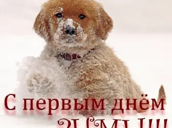 Первый день зимы. Поздравление на праздник