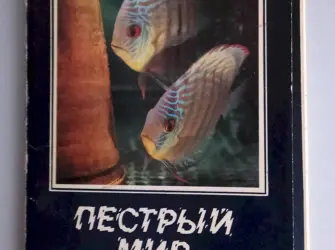 Пестрый мир аквариума открытка