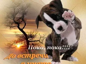 Пока до встречи открытка