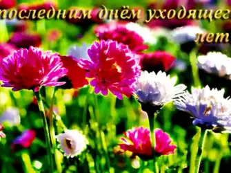 Последний день лета. Поздравление на праздник