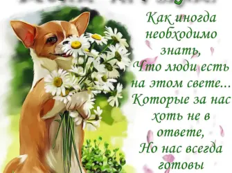 Поздравление для кодрузец. Открытка с пожеланием