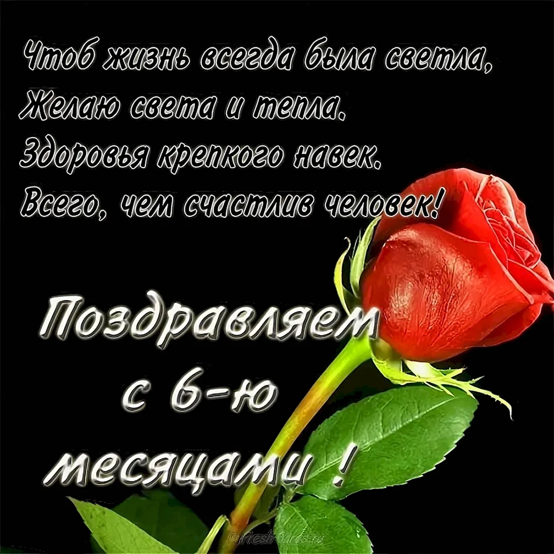 Поздравление с 6 месяцами. Открытка с поздравлением