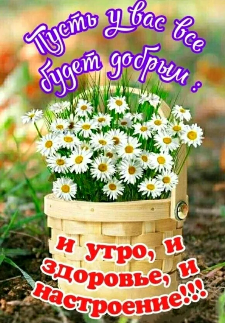 Поздравление с добрым утром. Поздравление на праздник