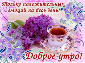 Поздравление с добрым утром. Открытка с пожеланием