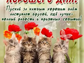 Поздравление с хорошим днем. Прикольная открытка