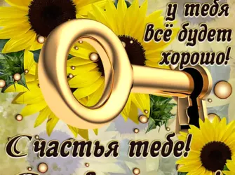 Поздравление с новосельем. Прикольная открытка