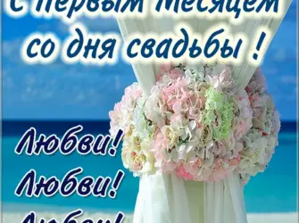 Поздравление с первым месяцем свадьбы. Свадебная открытка