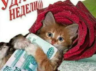 Поздравление с понедельником. Открытка с пожеланием