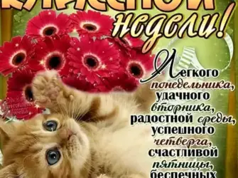 Поздравление с понедельником. Открытка с поздравлением