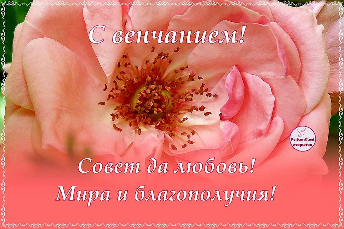 Поздравление с венчанием. Открытка с поздравлением