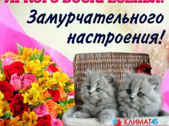 Поздравление с воскресеньем. Поздравление на праздник